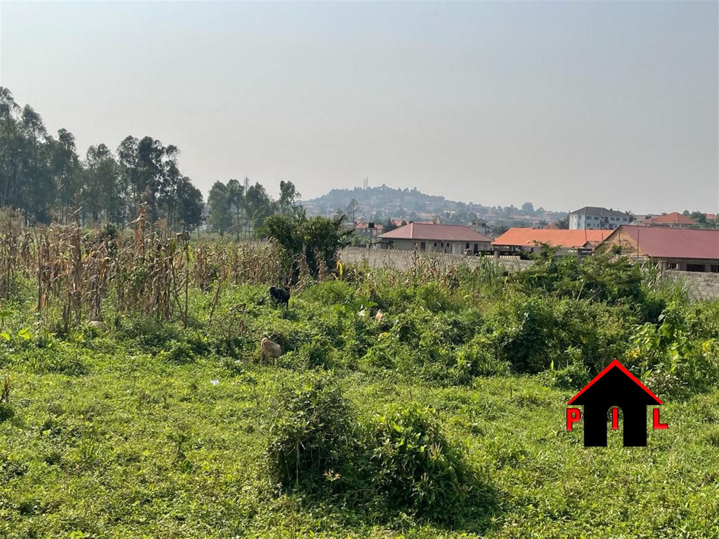 Residential Land for sale in Kulambilo Kampala