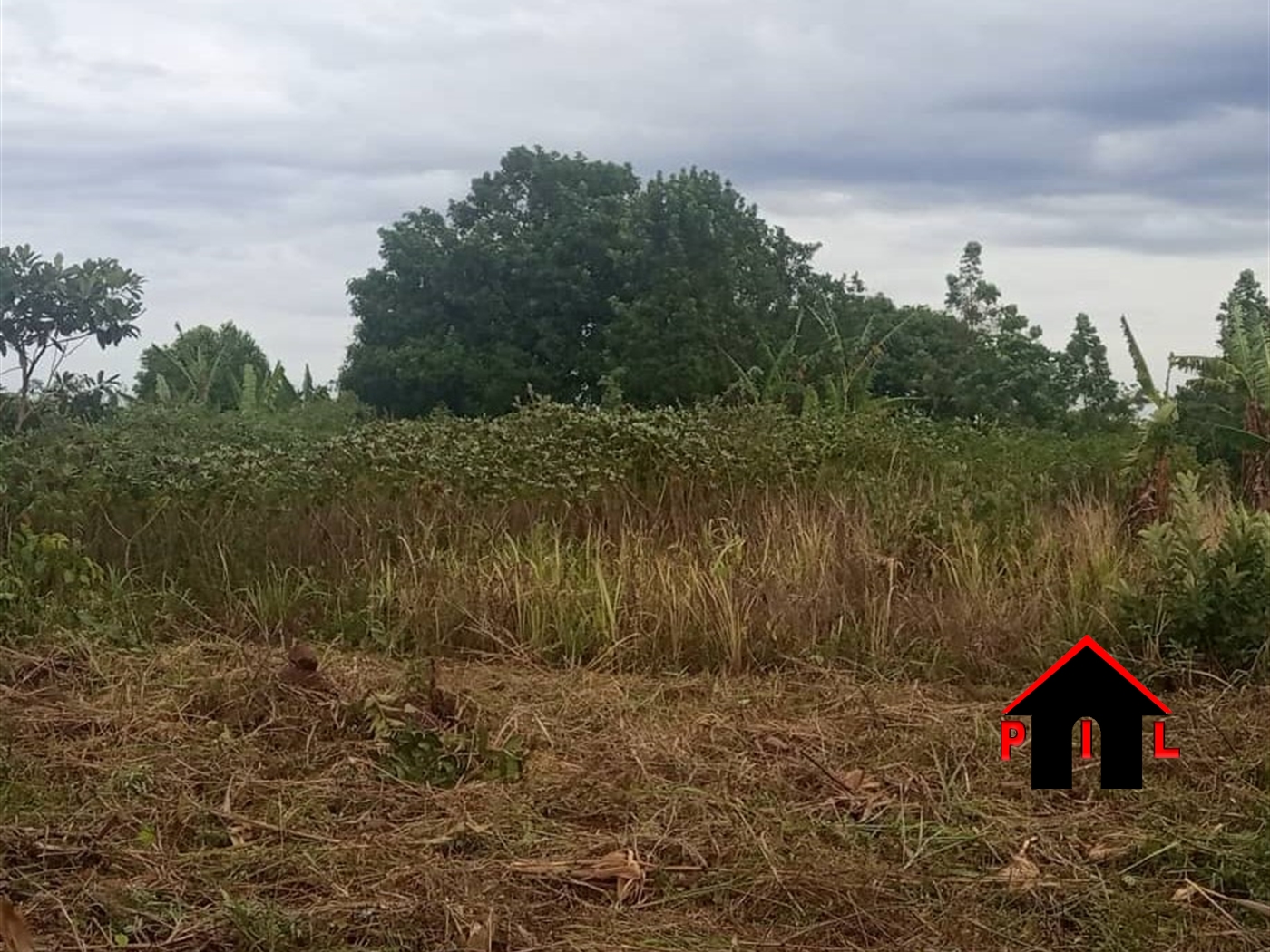 Agricultural Land for sale in Kiwenda Wakiso