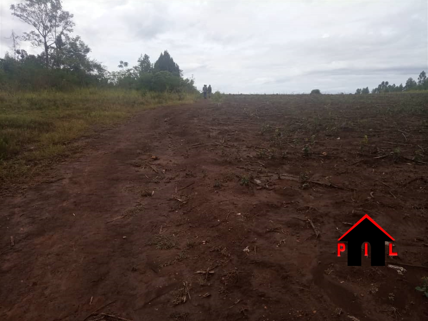 Commercial Land for sale in Kiwenda Wakiso