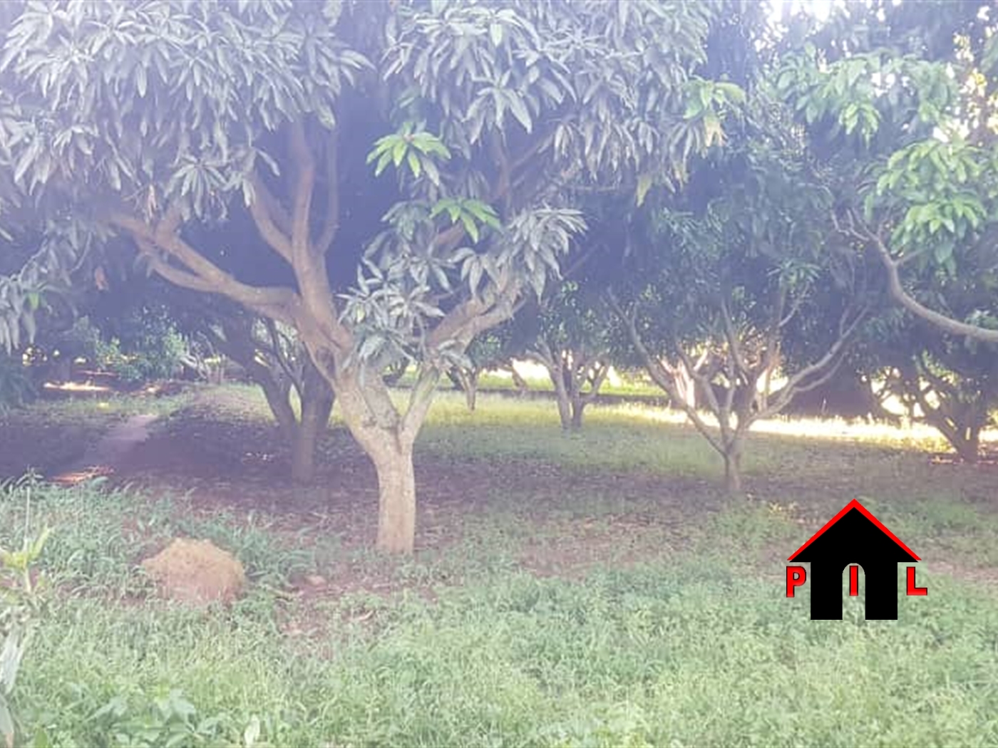 Commercial Land for sale in Garuga Wakiso