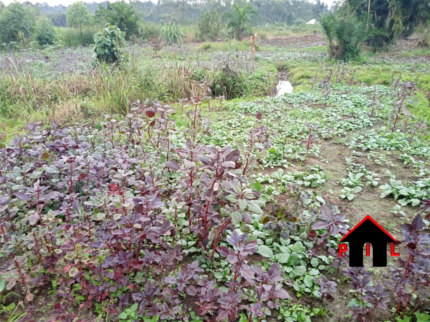 Commercial Land for sale in Matugga Wakiso