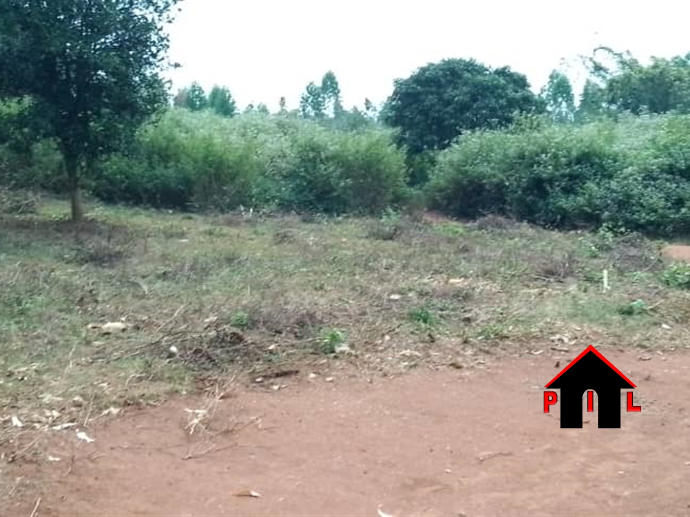 Agricultural Land for sale in Kabunyata Luweero