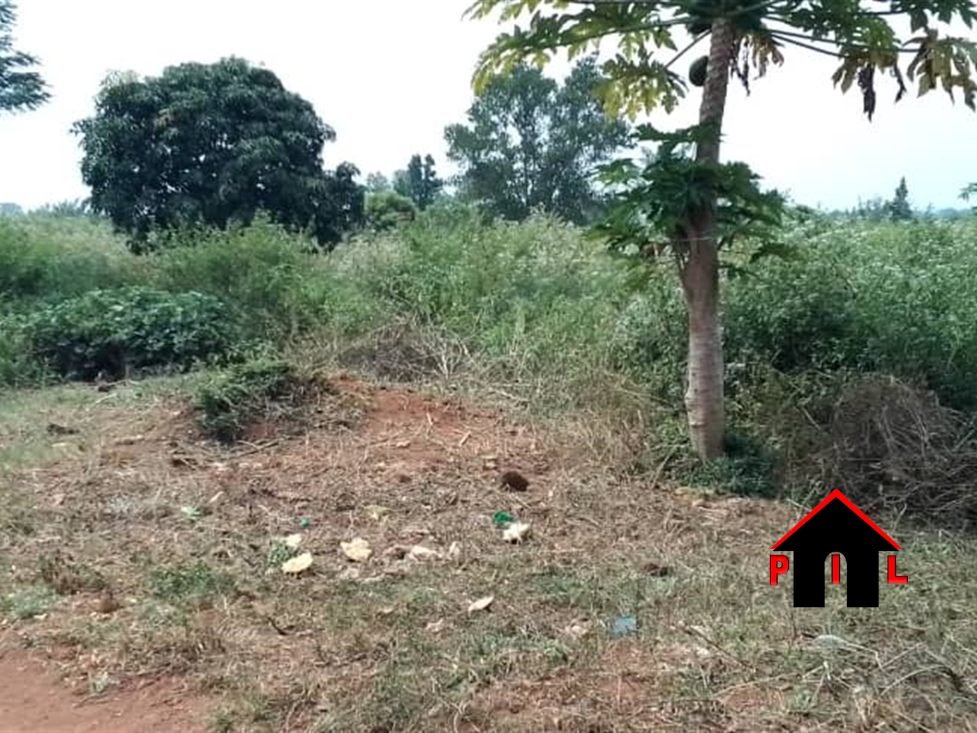 Agricultural Land for sale in Kabunyata Luweero