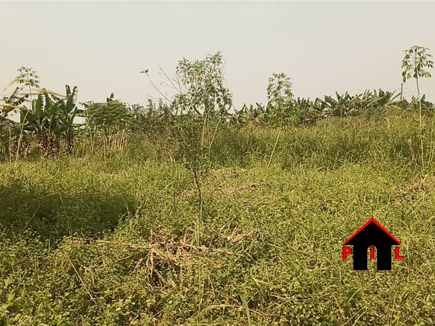 Commercial Land for sale in Matugga Wakiso