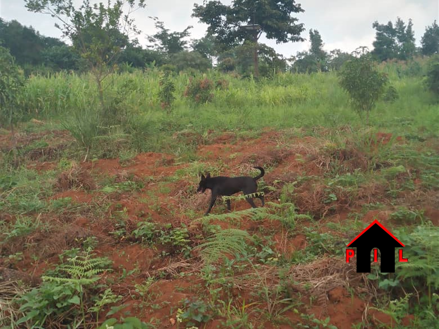 Commercial Land for sale in Bukalango Wakiso