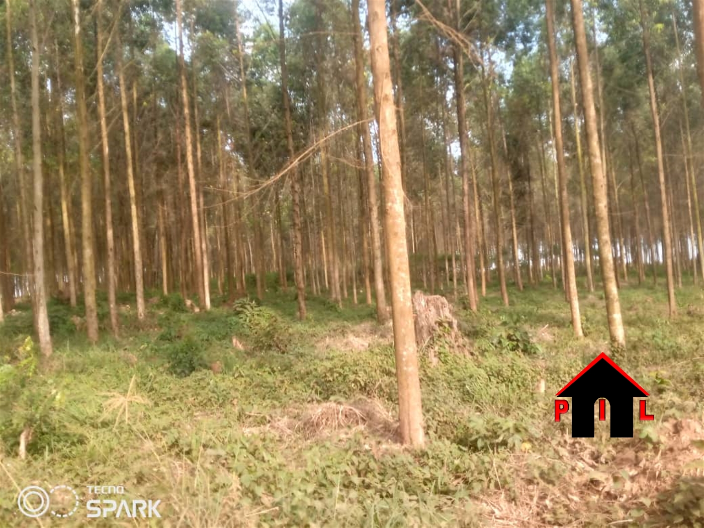 Commercial Land for sale in Rwenjeru Mbarara