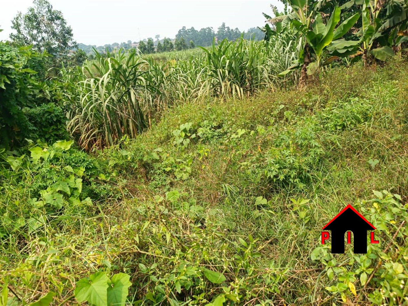 Residential Land for sale in Matugga Wakiso