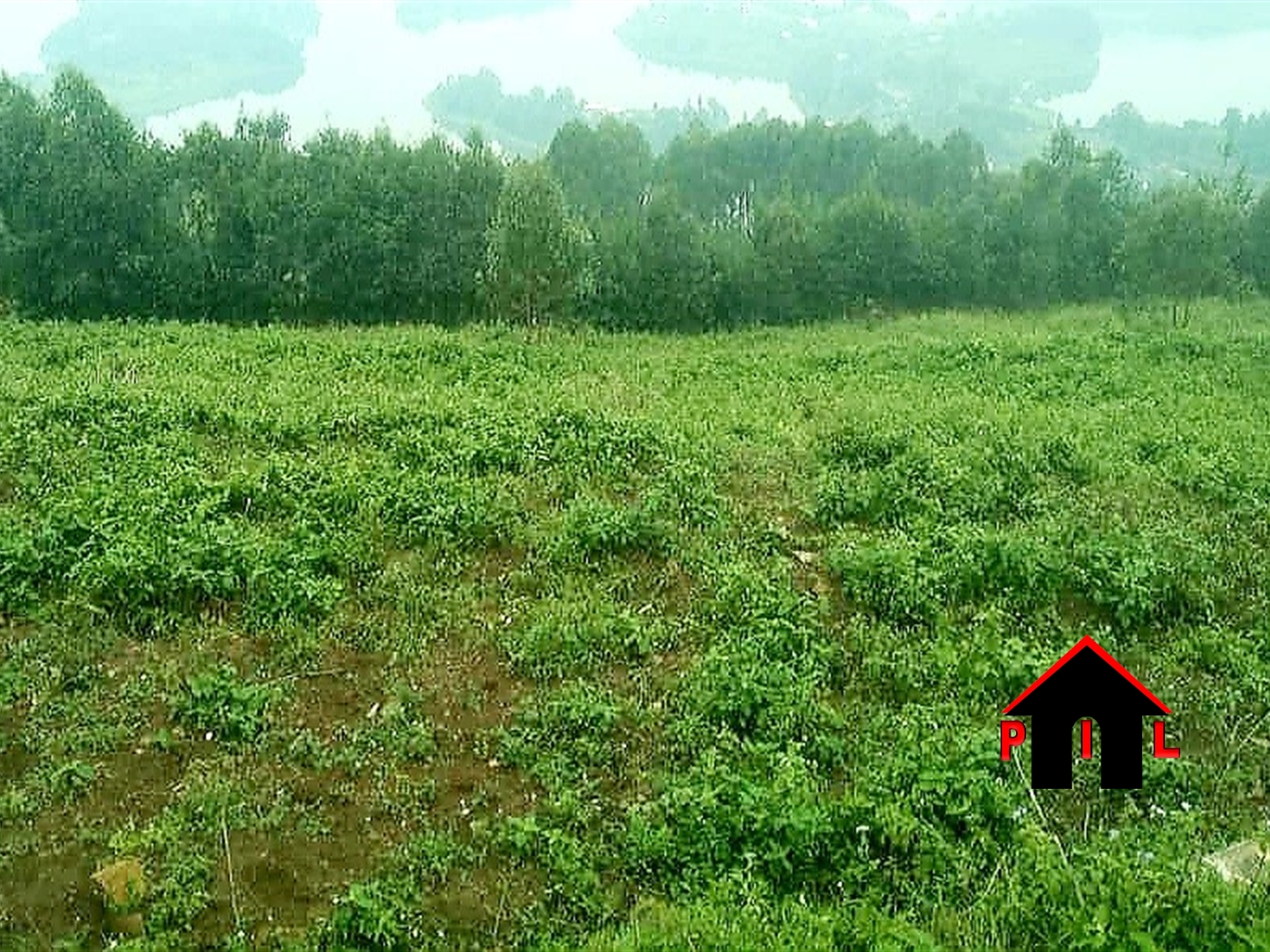 Commercial Land for sale in Kiswa Kabaale