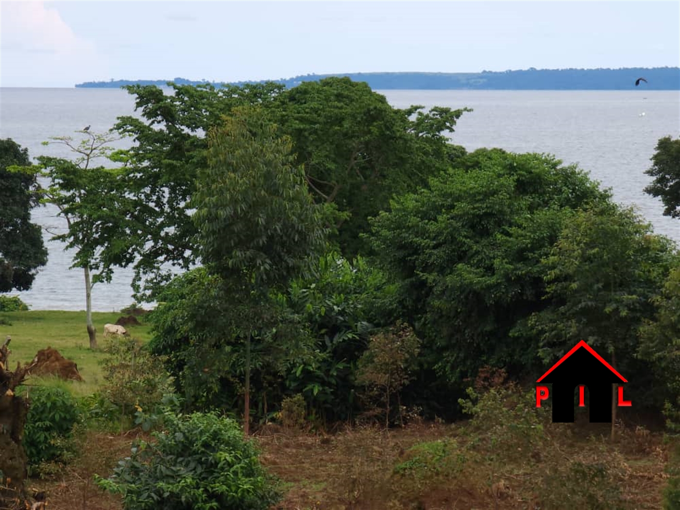 Commercial Land for sale in Garuga Wakiso