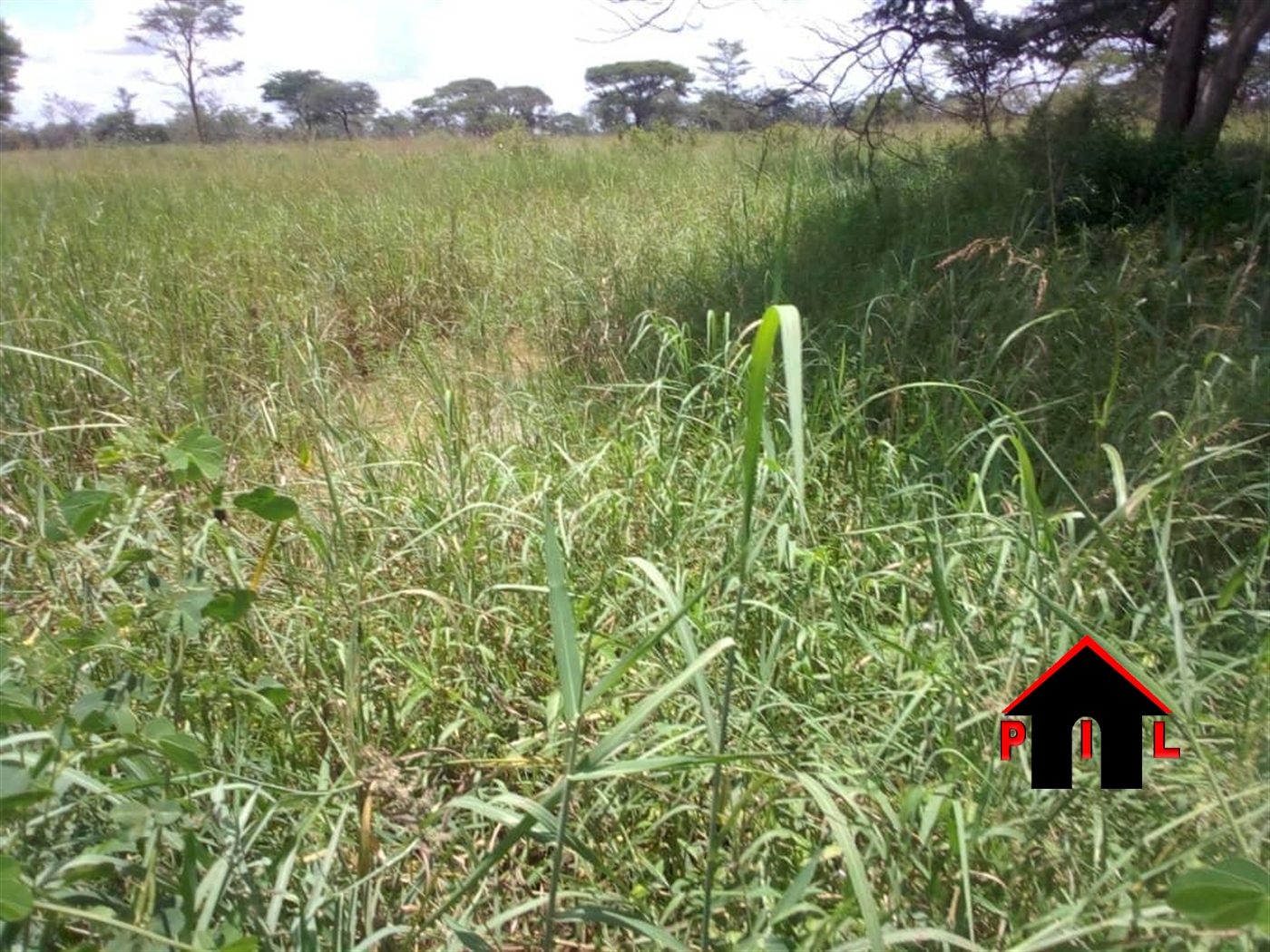 Agricultural Land for sale in Bugerere Kayunga