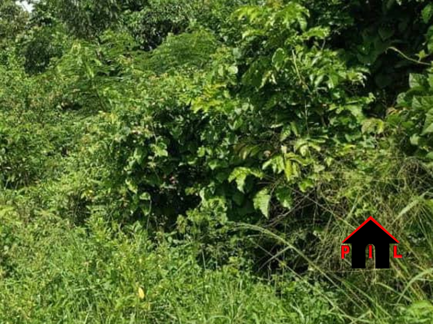 Agricultural Land for sale in Bugerere Kayunga