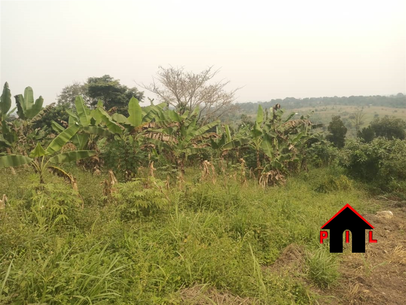 Residential Land for sale in Gayaza Wakiso