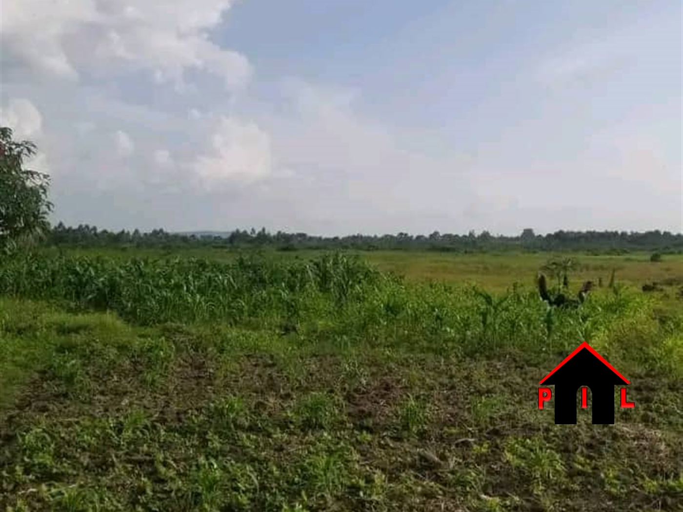 Residential Land for sale in Bujuuko Mpigi