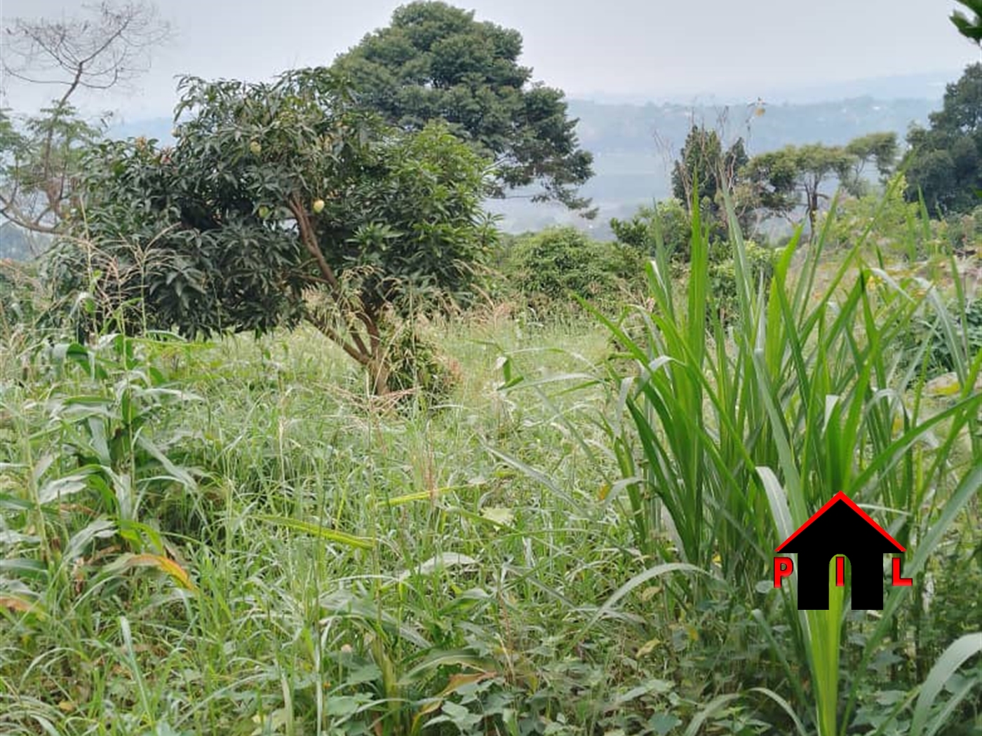 Residential Land for sale in Gayaza Wakiso