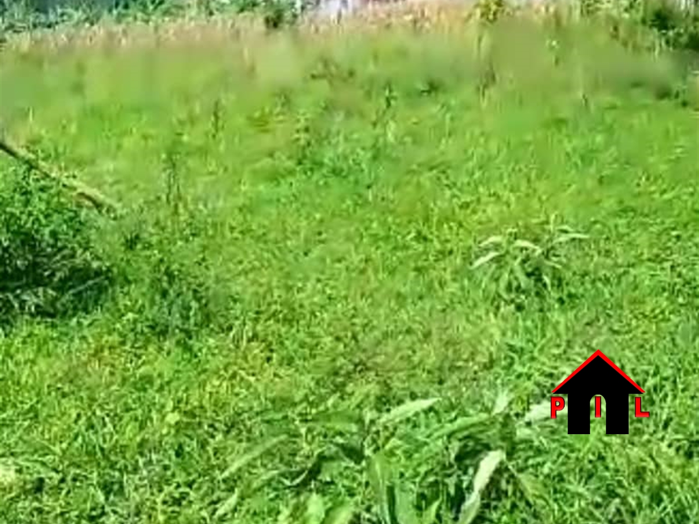 Residential Land for sale in Gayaza Wakiso