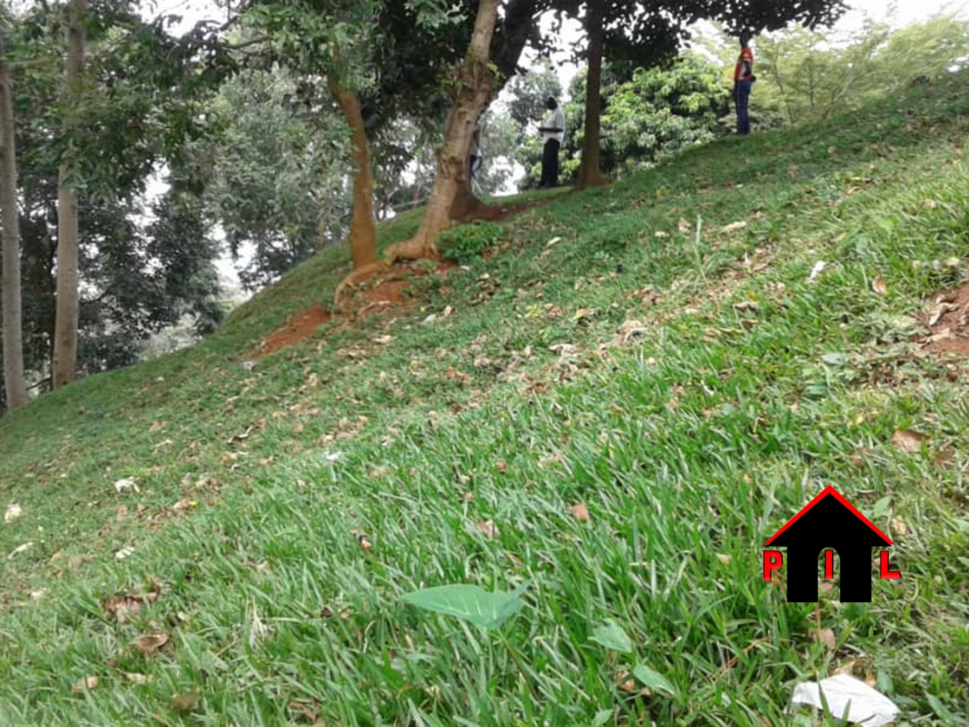 Residential Land for sale in Buloba Wakiso