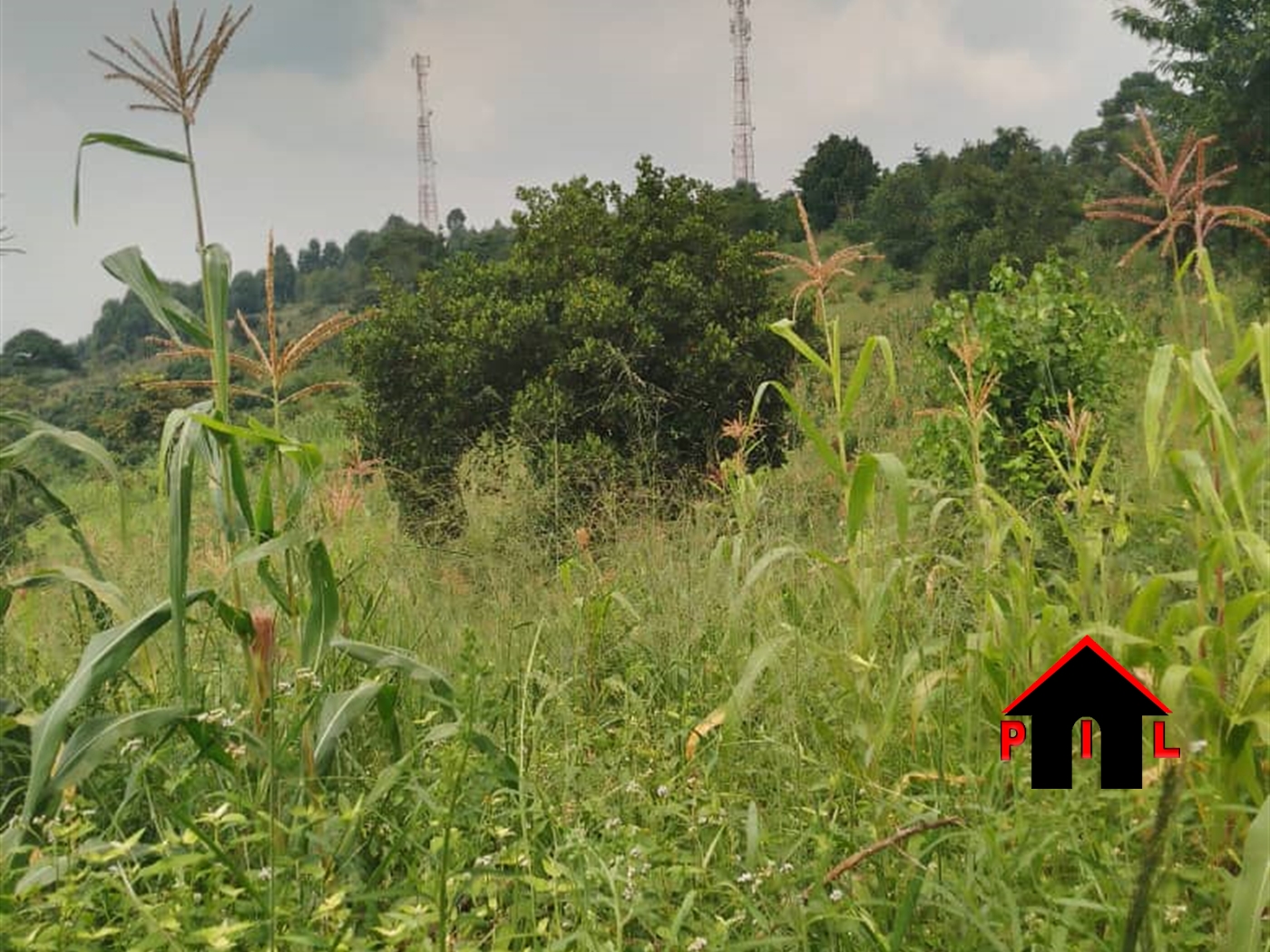 Residential Land for sale in Matugga Wakiso