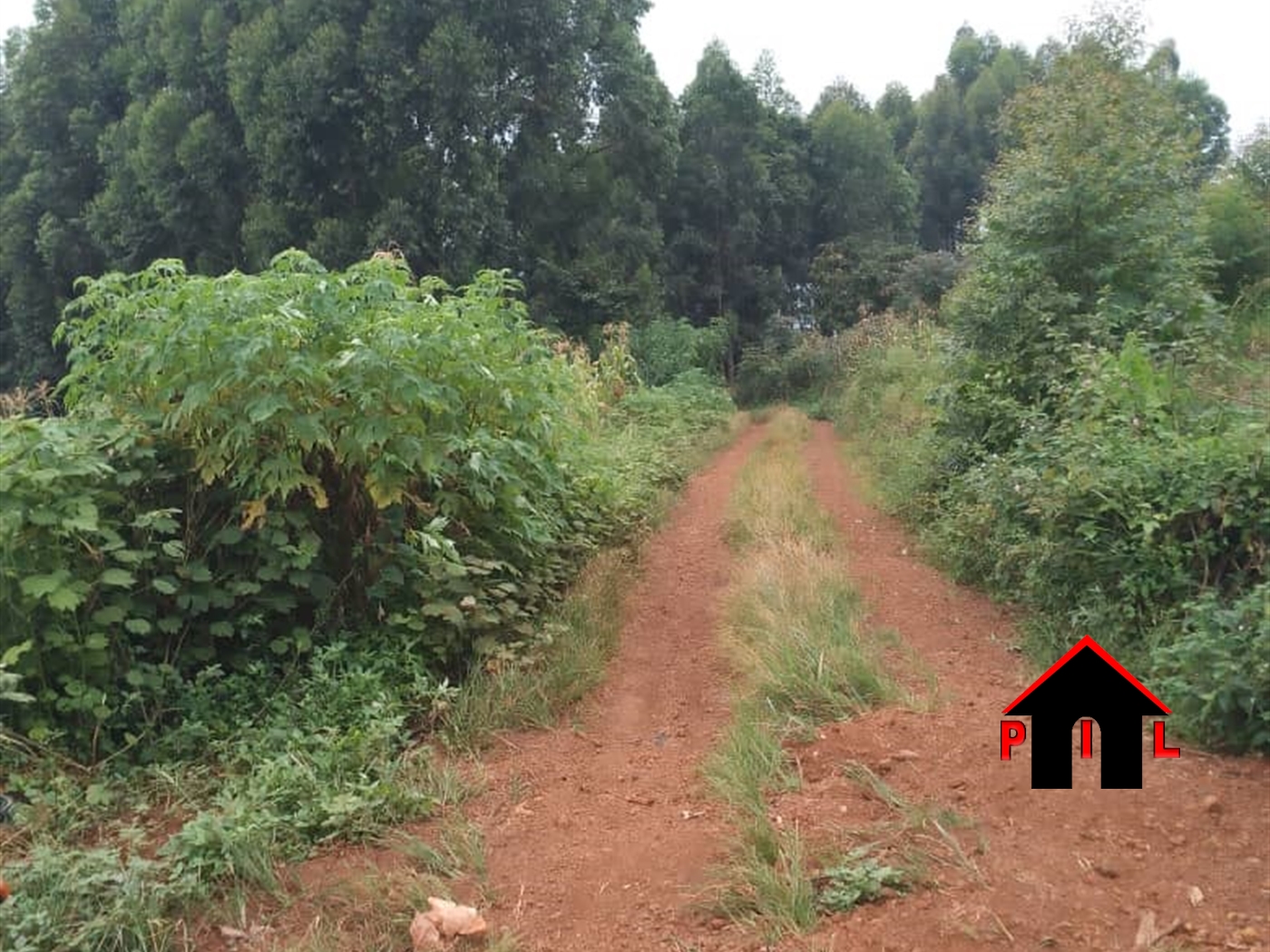 Residential Land for sale in Lutaba Wakiso