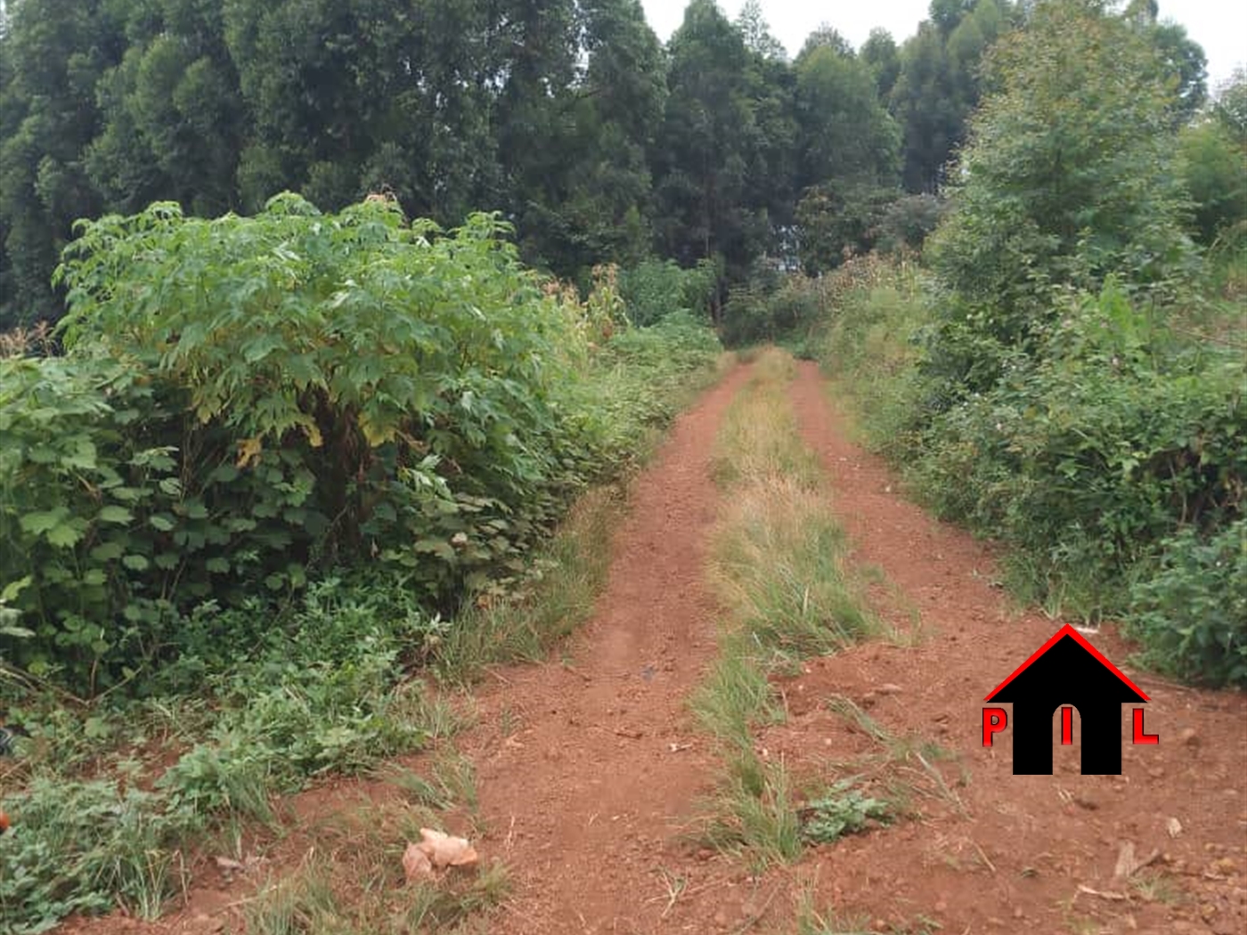 Residential Land for sale in Lutaba Wakiso