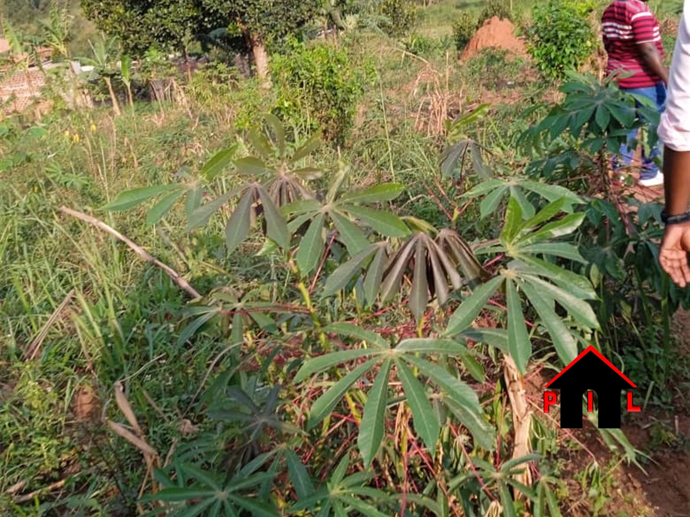 Residential Land for sale in Lukalhu Mpigi