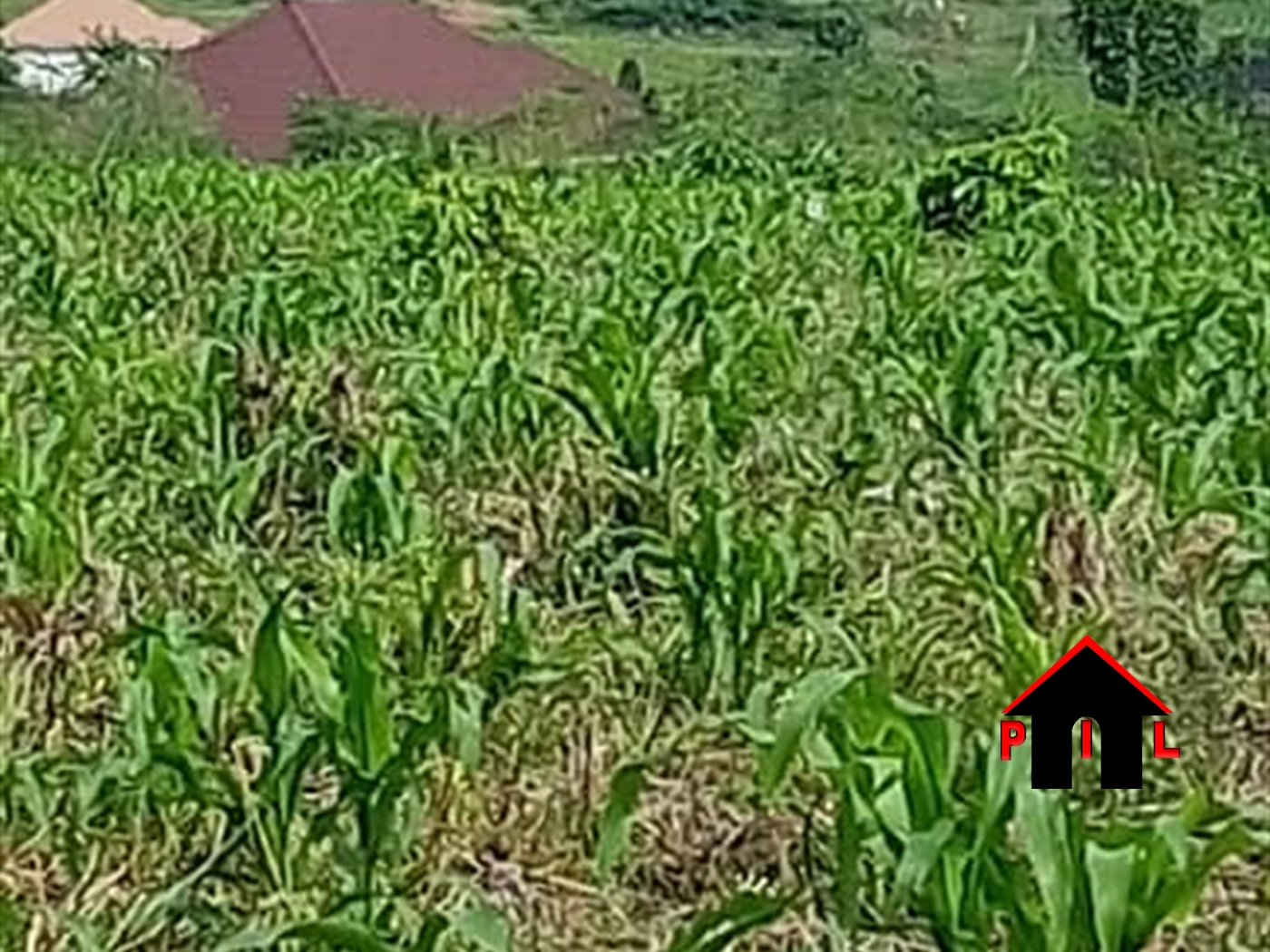 Residential Land for sale in Namugongo Wakiso