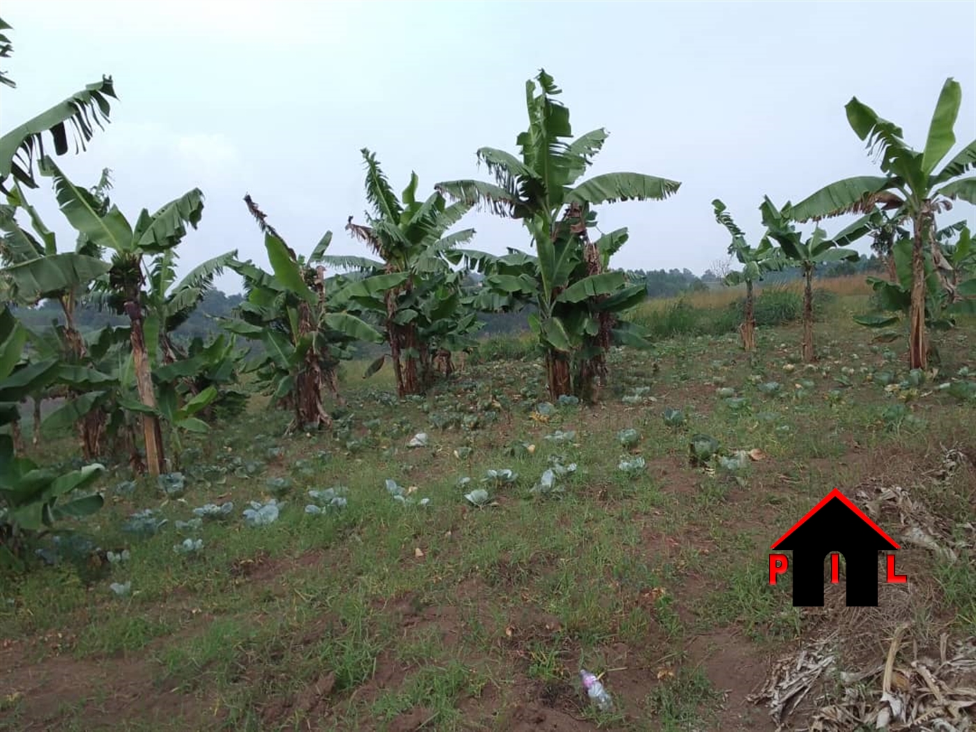 Residential Land for sale in Munyonyo Kampala