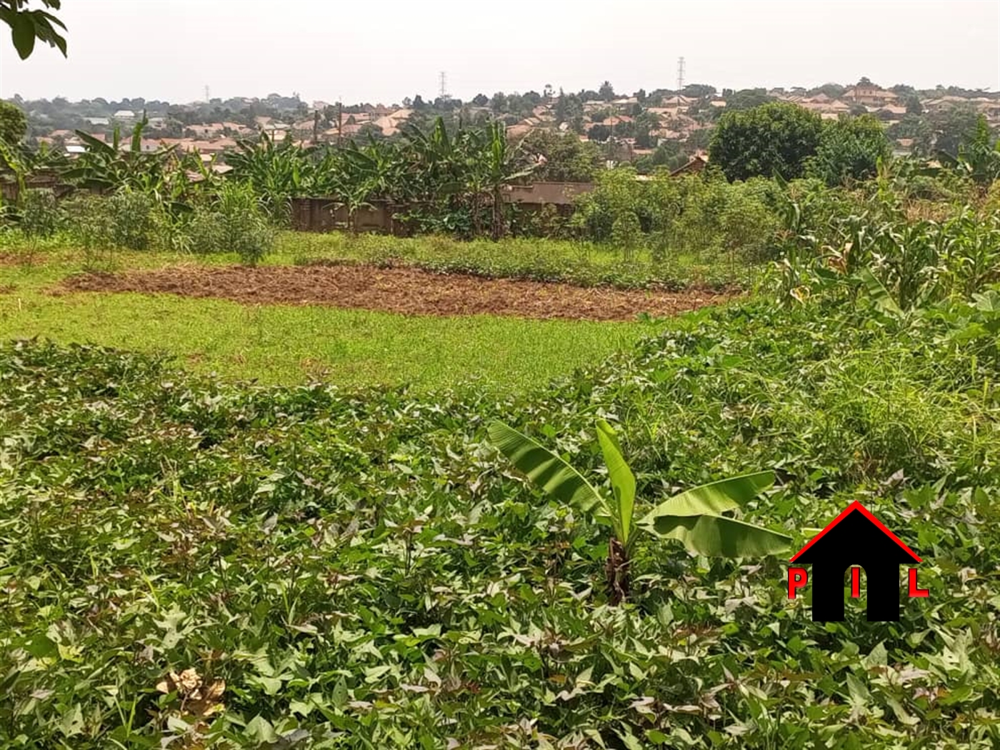 School for sale in Buwaya Mukono