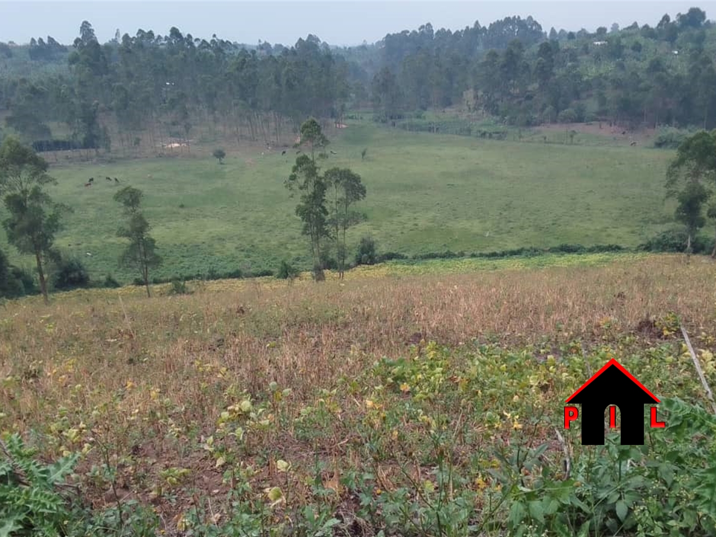 Residential Land for sale in Buloba Wakiso