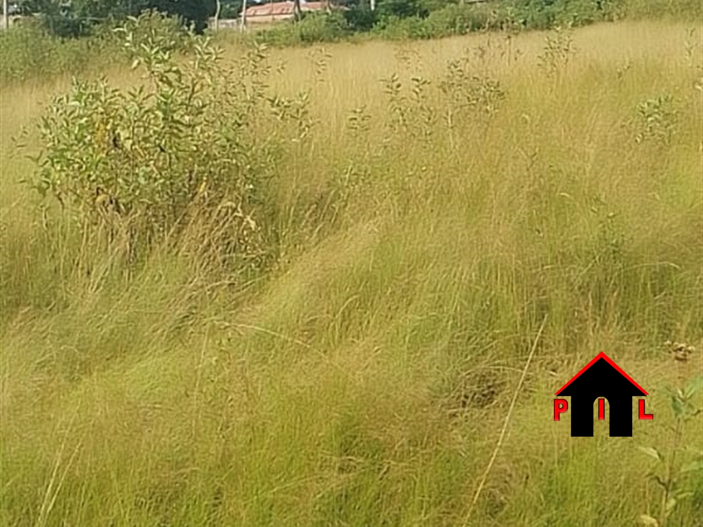 Residential Land for sale in Buloba Wakiso