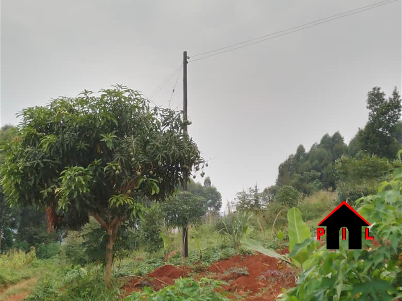 Residential Land for sale in Kitemu Mityana