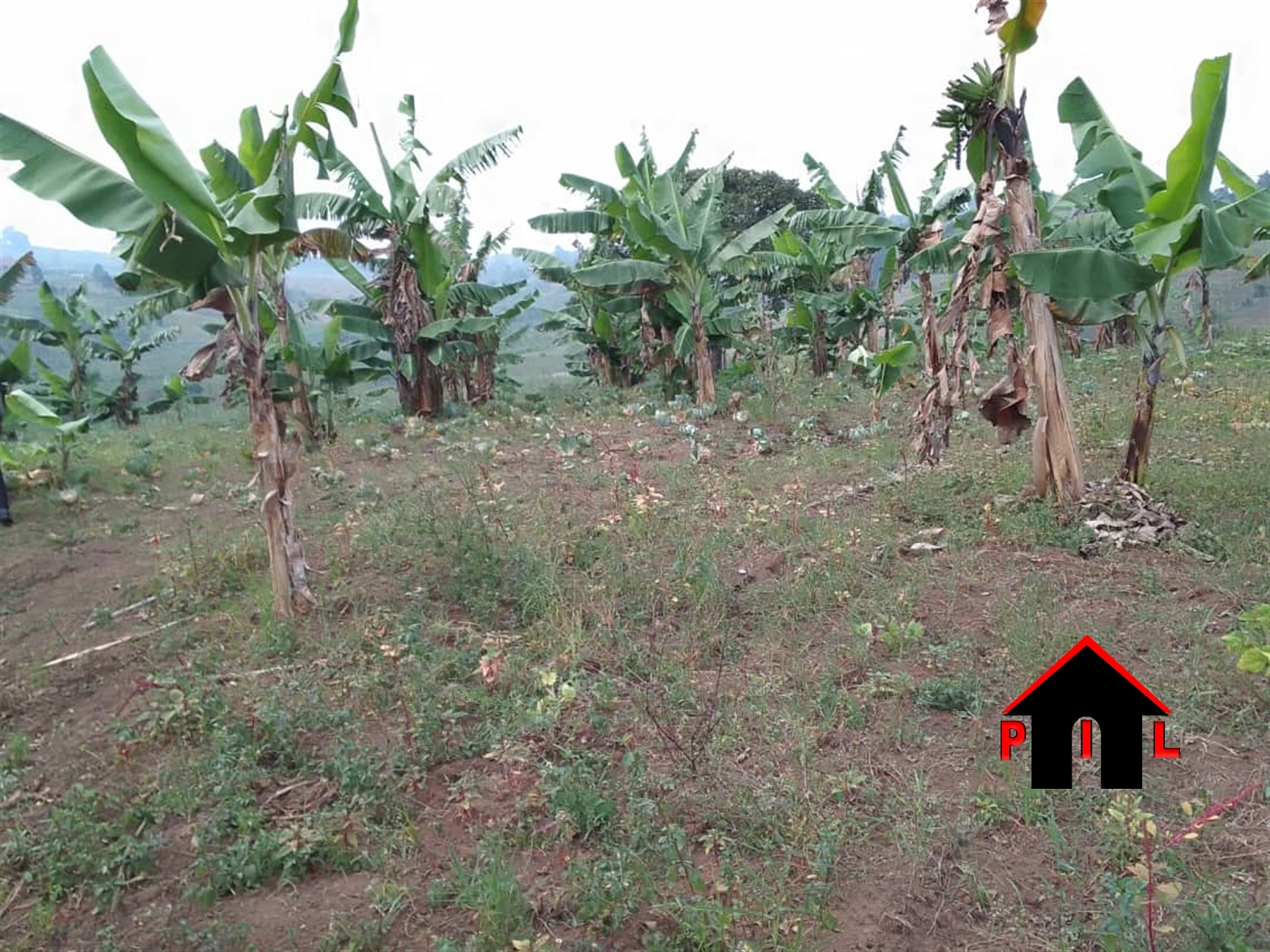 Residential Land for sale in Buddo Wakiso