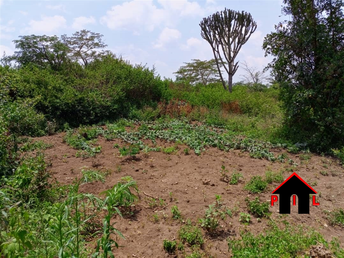 Residential Land for sale in Bwebajja Wakiso