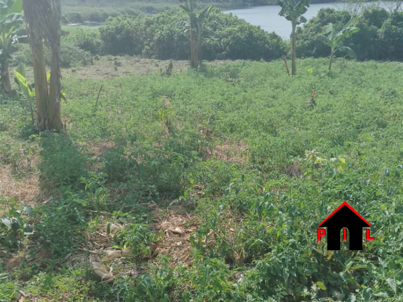 Commercial Land for sale in Nansagazi Mukono