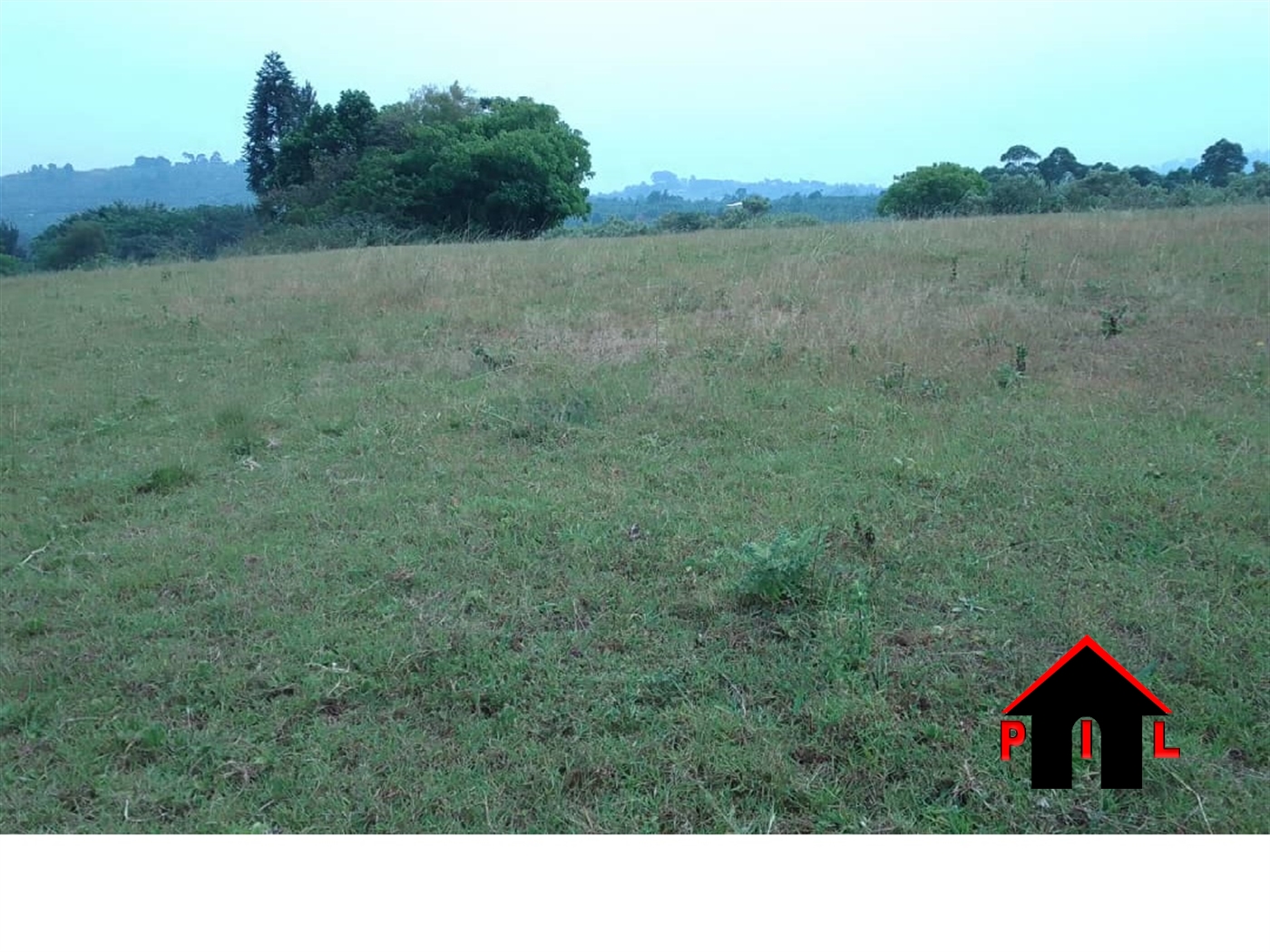 Residential Land for sale in Kiwenda Wakiso