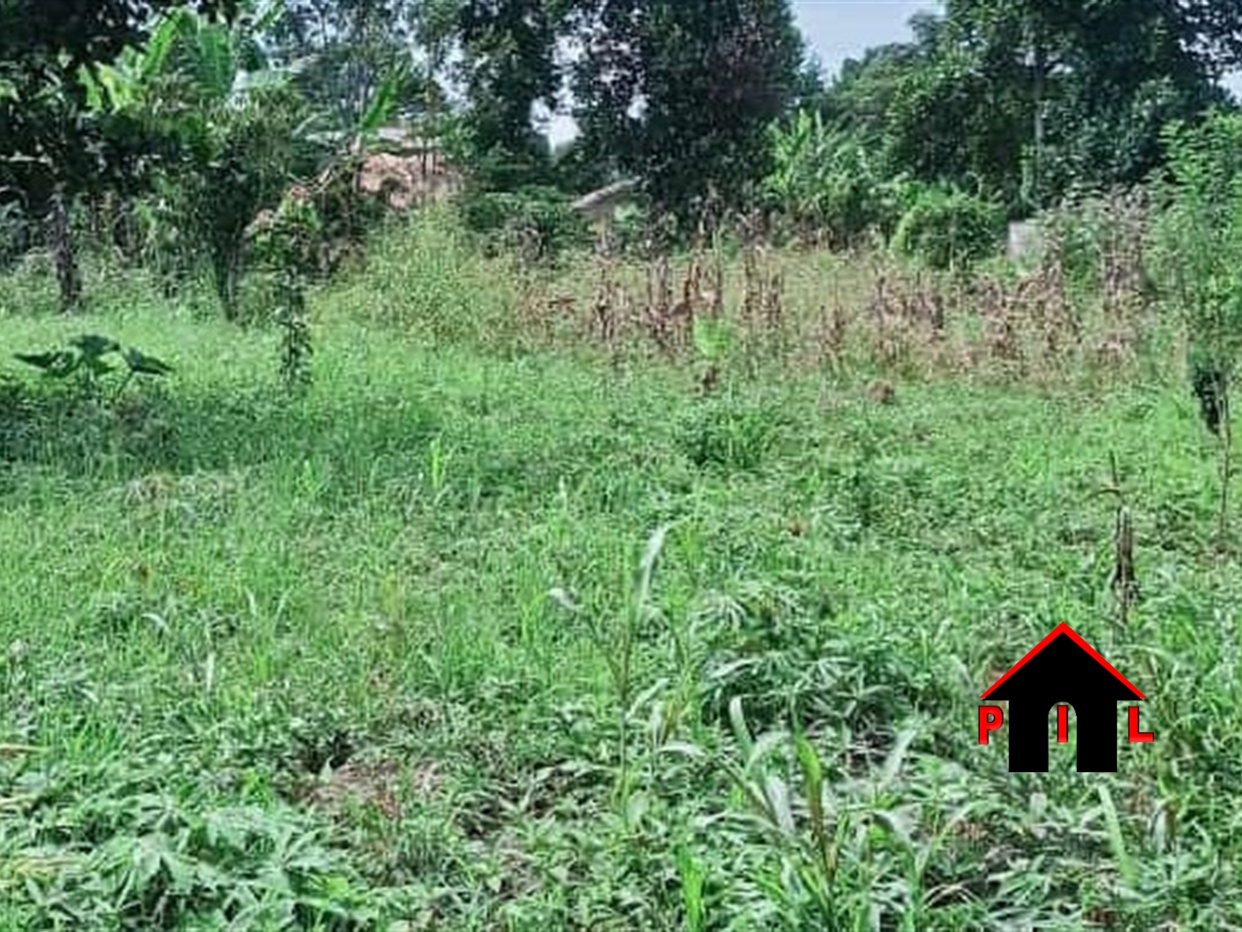 Commercial Land for sale in Namayumba Wakiso