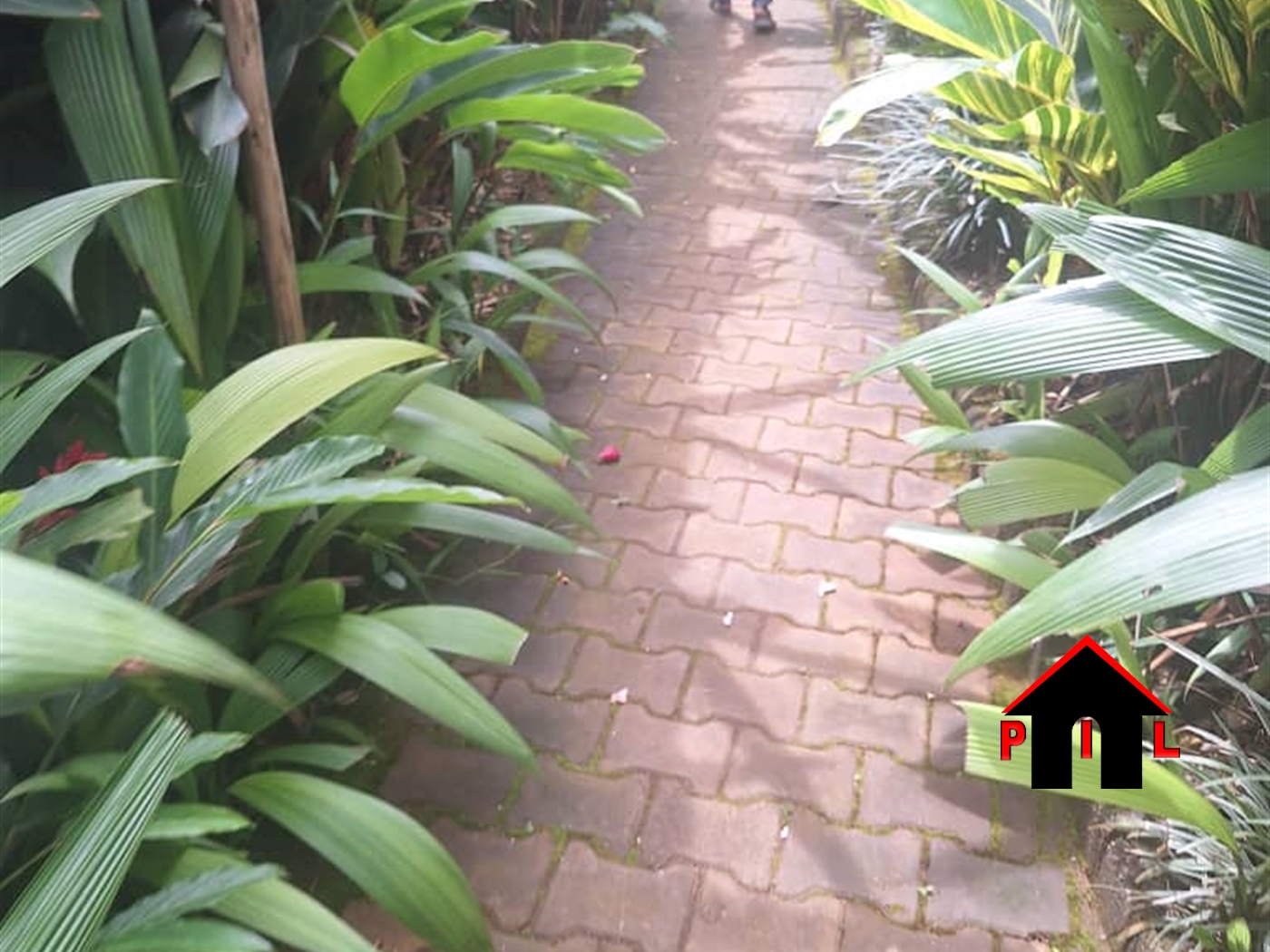 Guest house for sale in Naluvule Wakiso