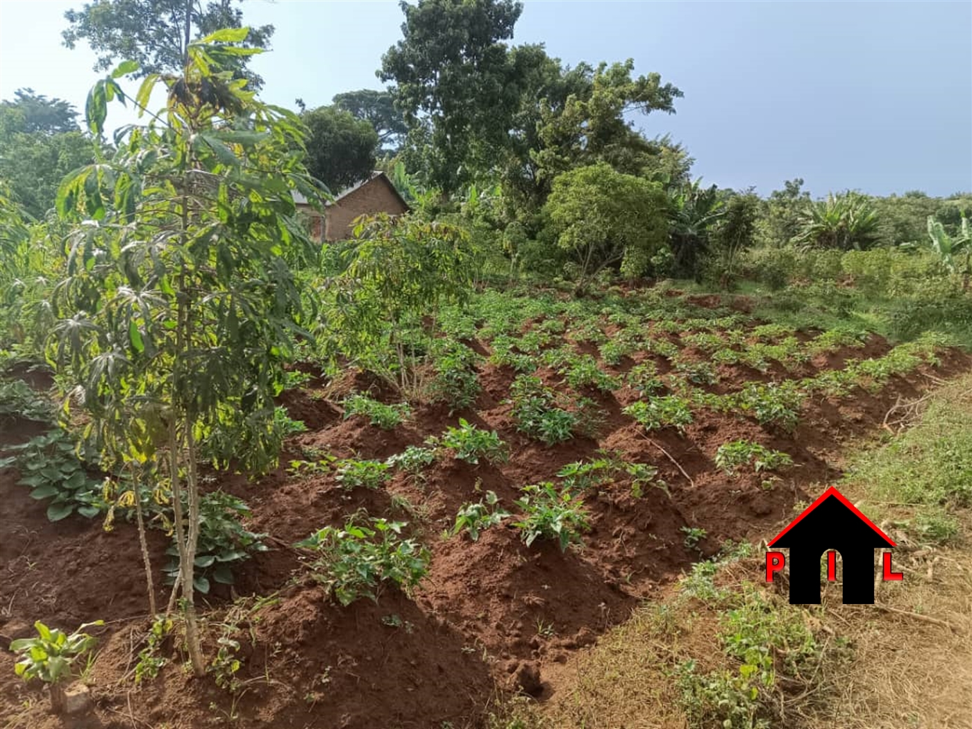 Commercial Land for sale in Nsanja Mukono