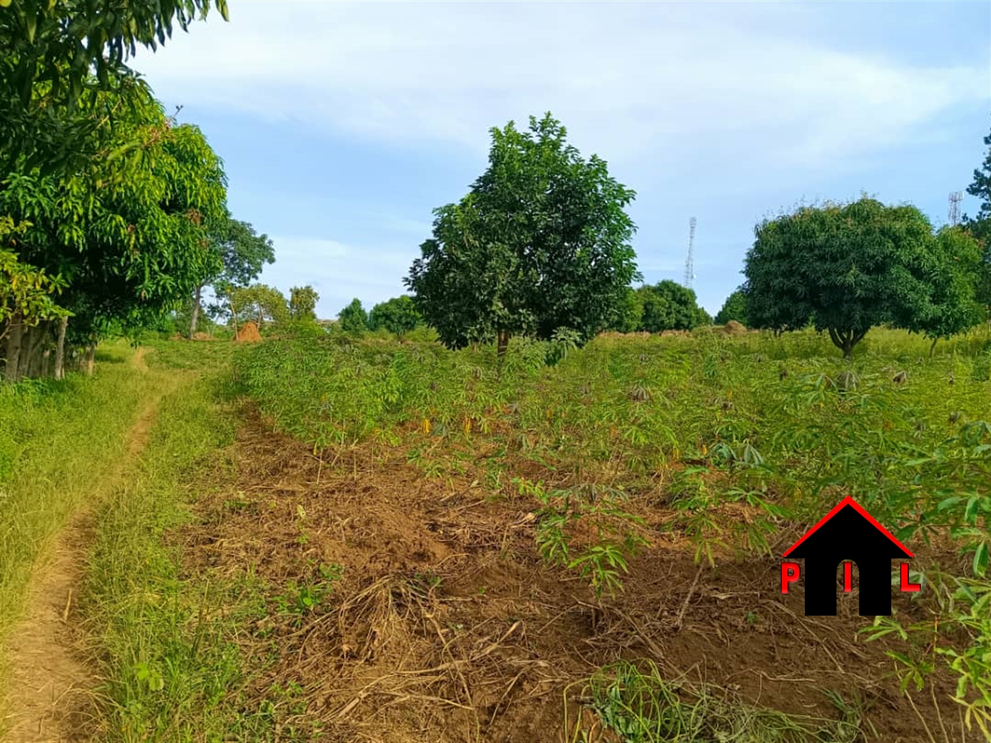 Commercial Land for sale in Nsanja Mukono