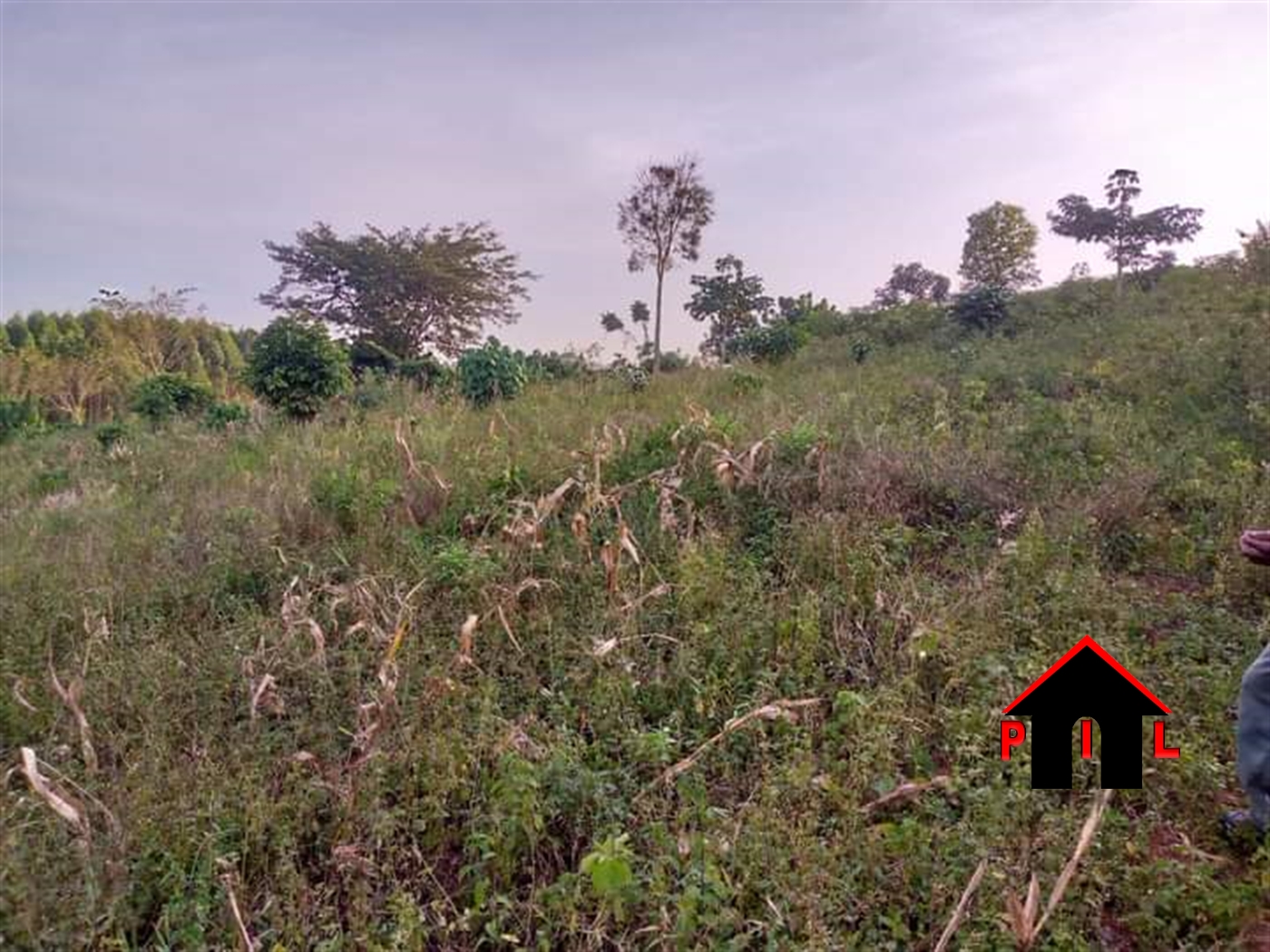 Commercial Land for sale in Bukeelele Wakiso