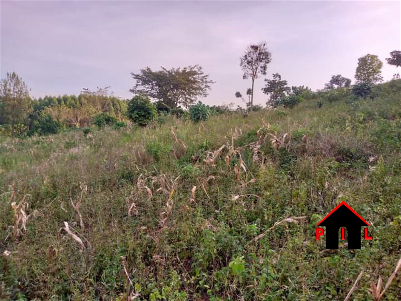 Commercial Land for sale in Bukeelele Wakiso