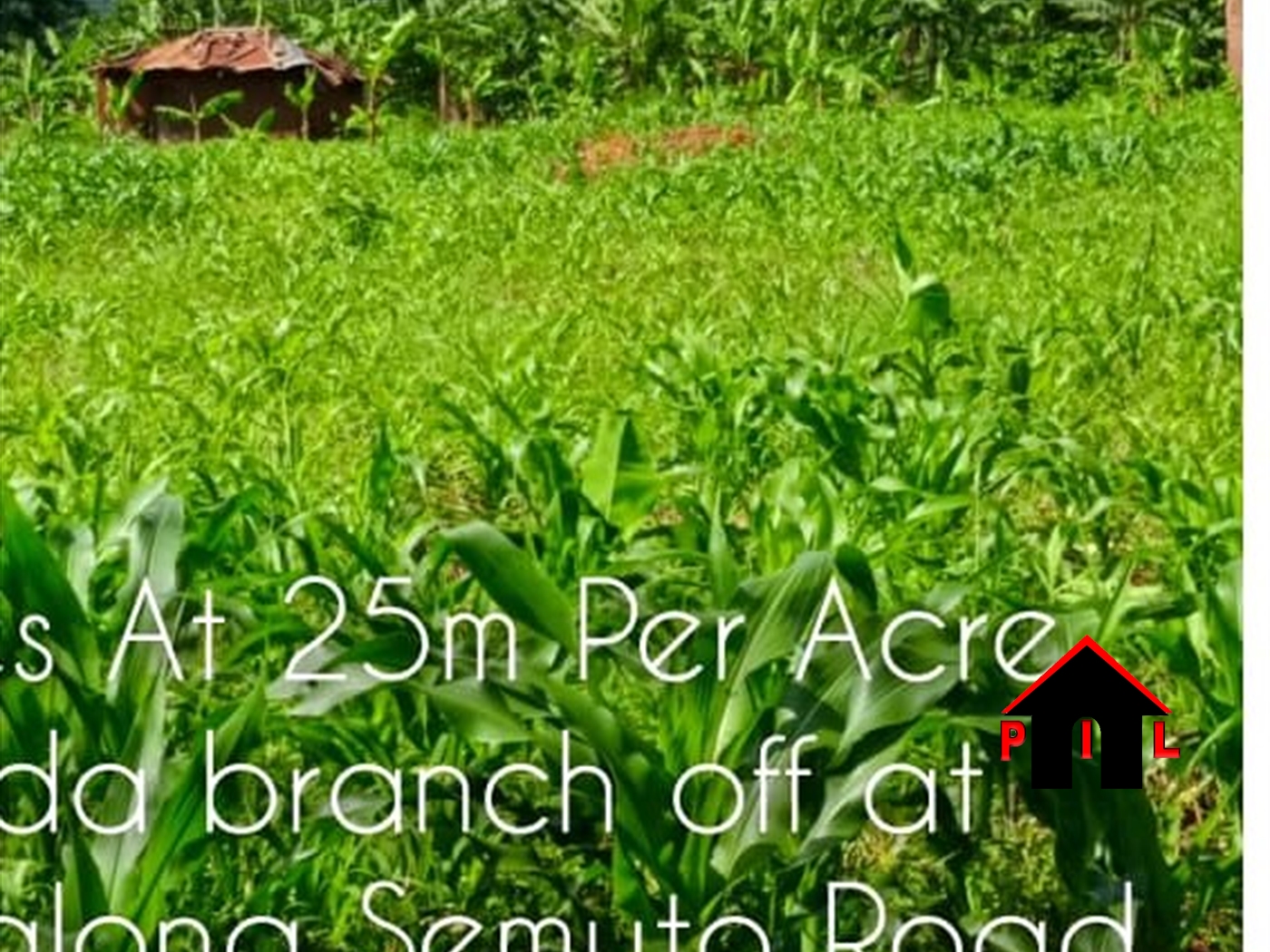 Commercial Land for sale in Matugga Wakiso