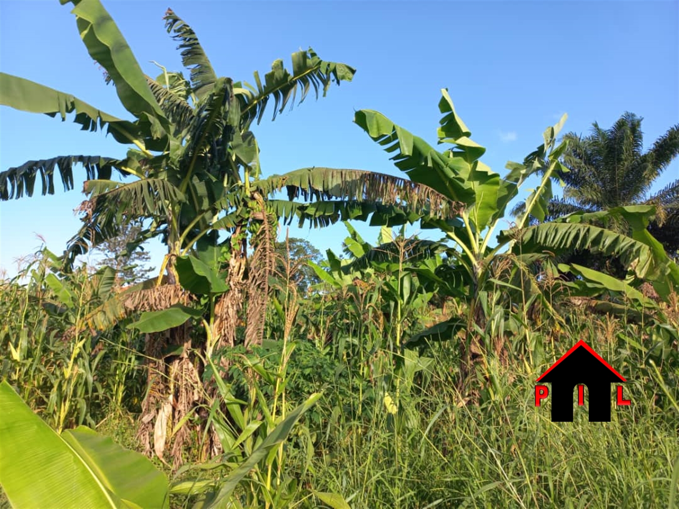 Residential Land for sale in Namugongo Wakiso