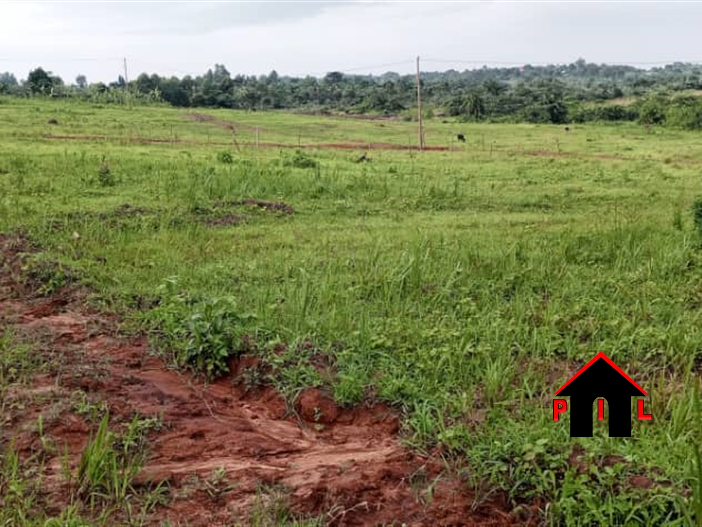 Residential Land for sale in Namayiba Mukono