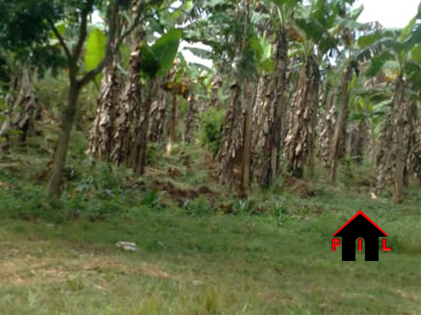 Residential Land for sale in Kabembe Mukono