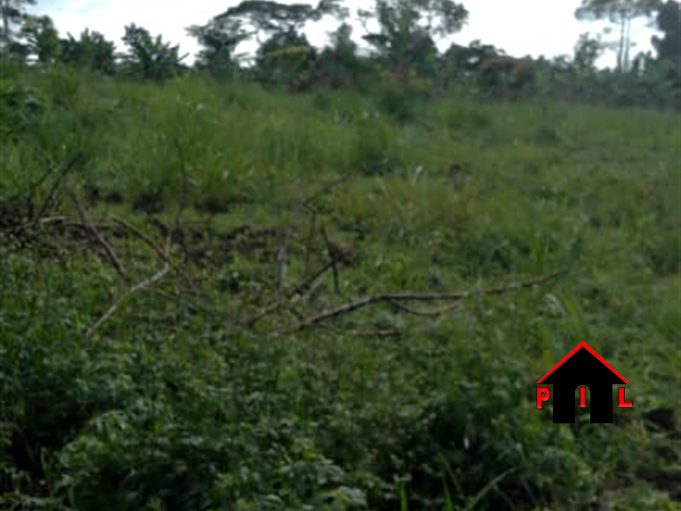 Residential Land for sale in Mpoma Mukono