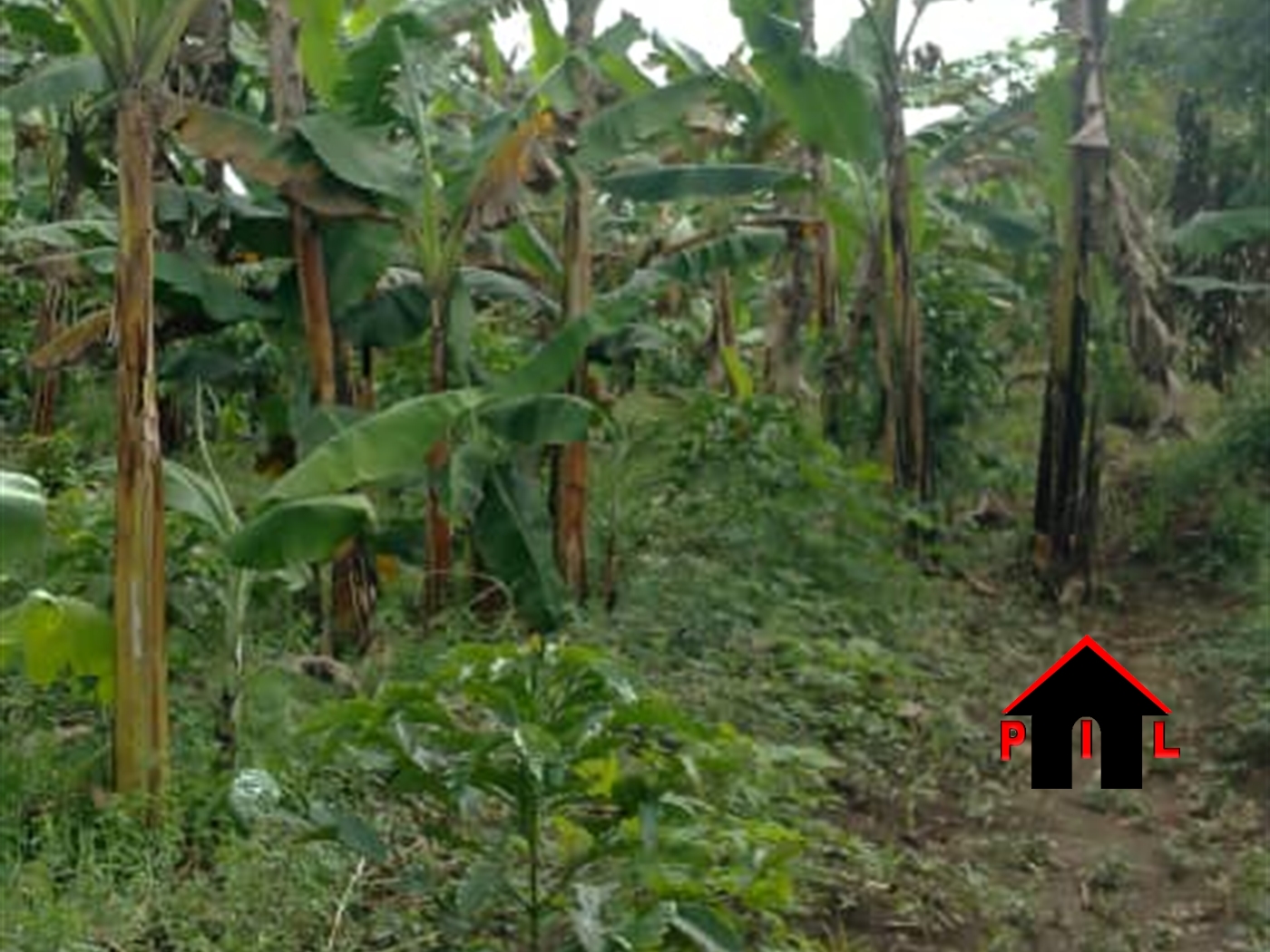 Residential Land for sale in Mpoma Mukono