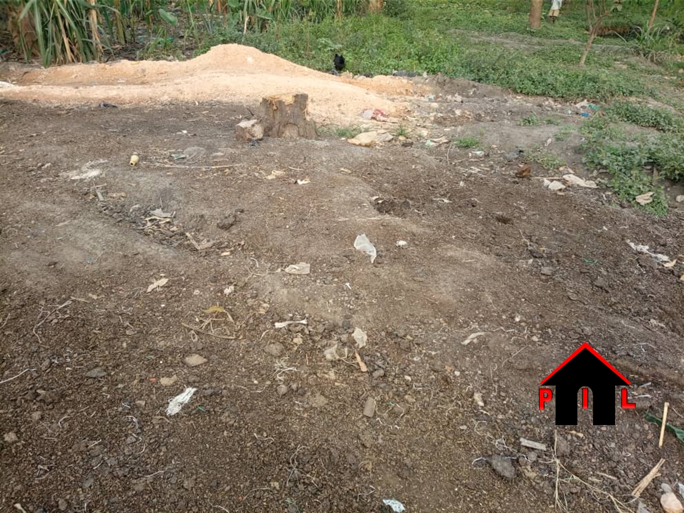 Residential Land for sale in Nsambwe Mukono