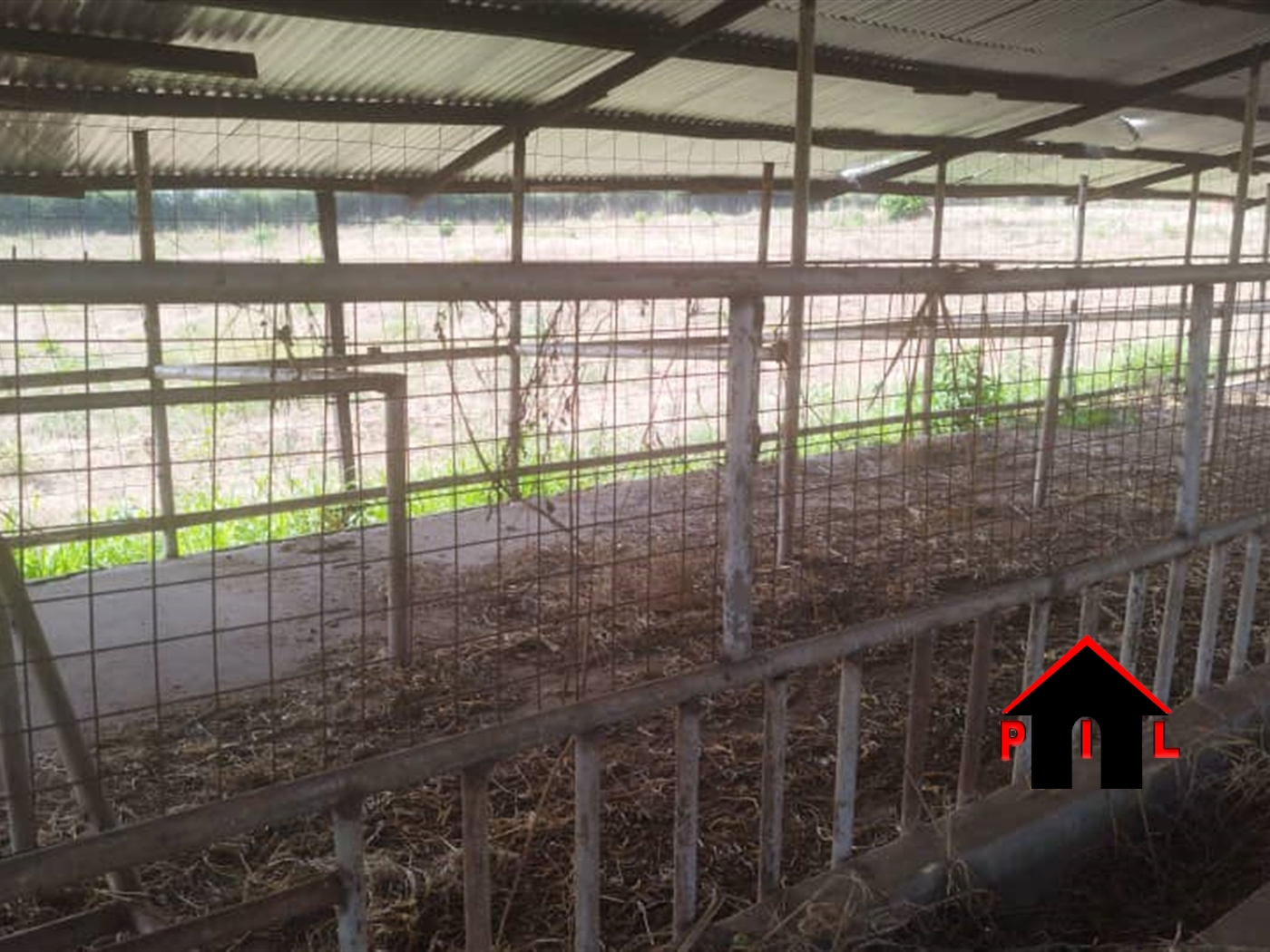 Farm for sale in Kakooge Nakasongola