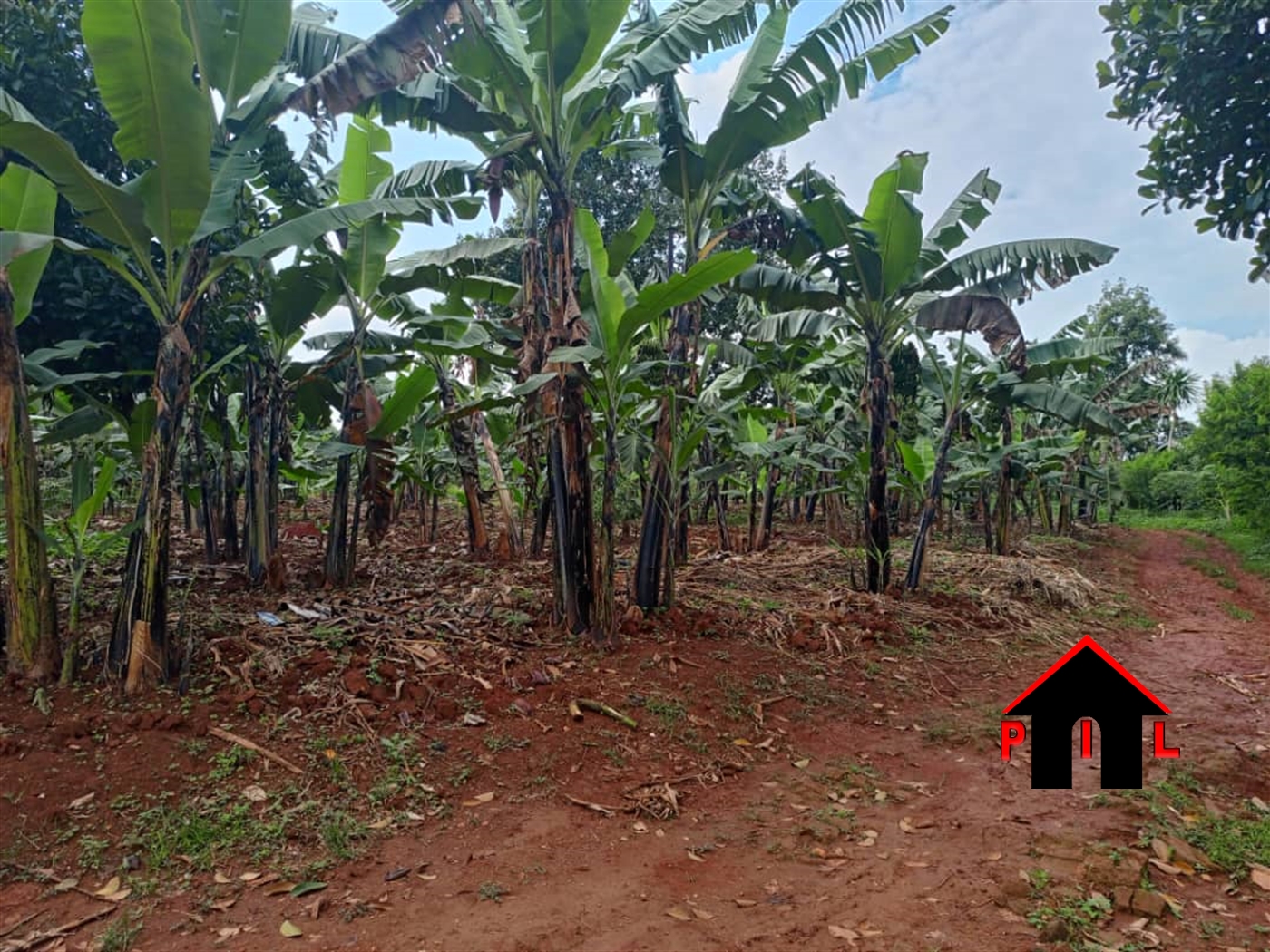 Commercial Land for sale in Mubango Wakiso