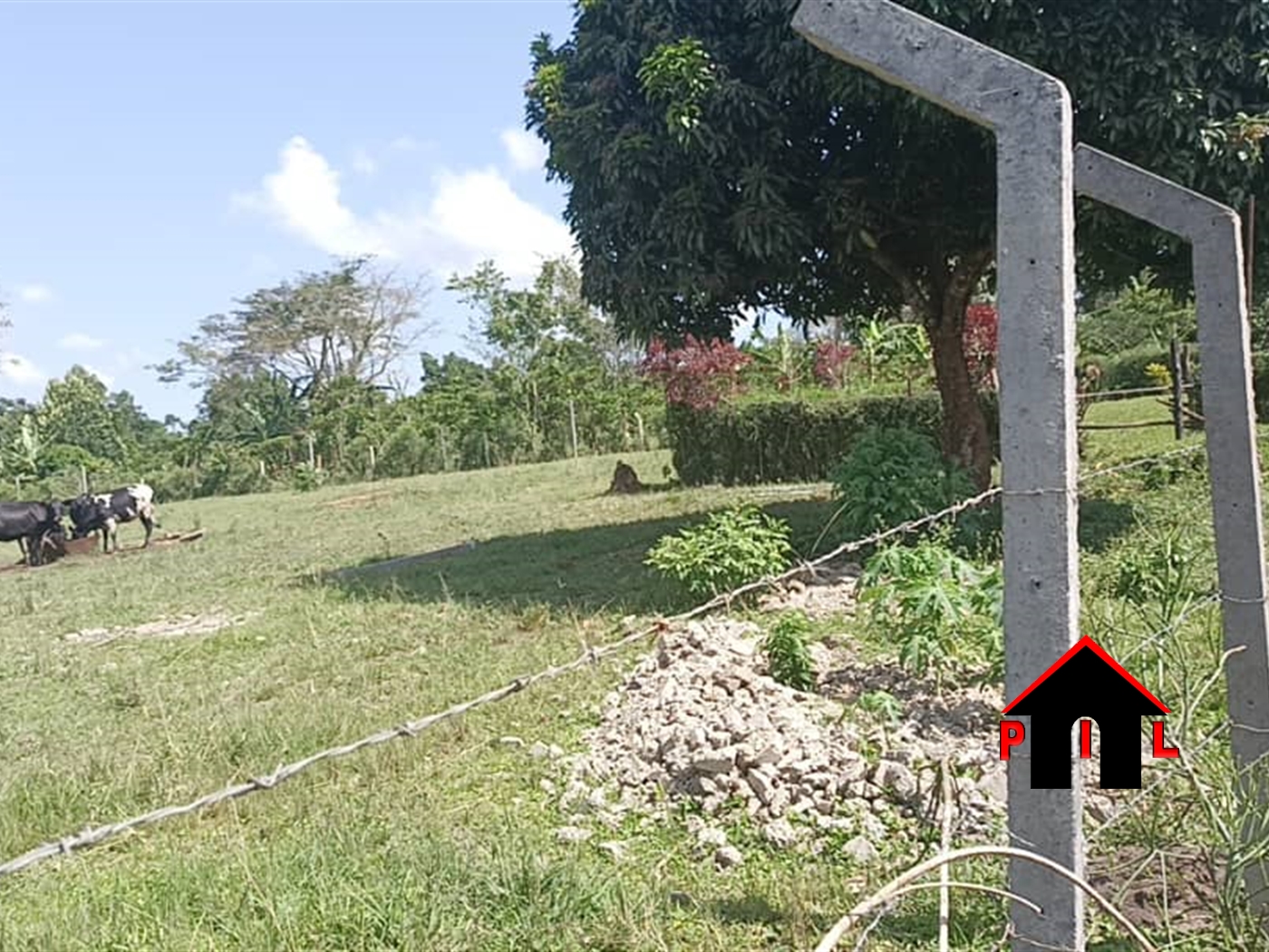 Agricultural Land for sale in Kiwoko Nakaseke